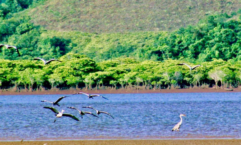 Must-visit attractions in Quang Ninh province (Part 2)