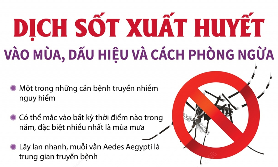 Dịch sốt xuất huyết vào mùa, dấu hiệu và cách phòng ngừa