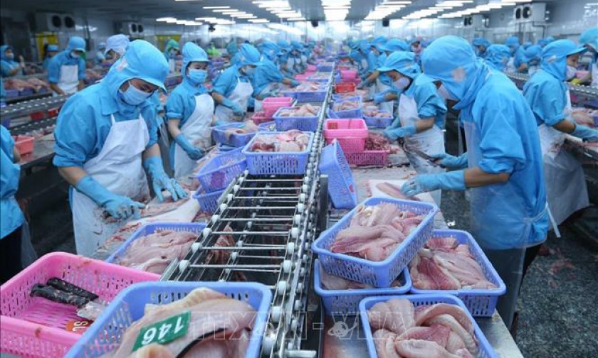 Xuất khẩu thủy sản vẫn tăng trước nhiều thách thức