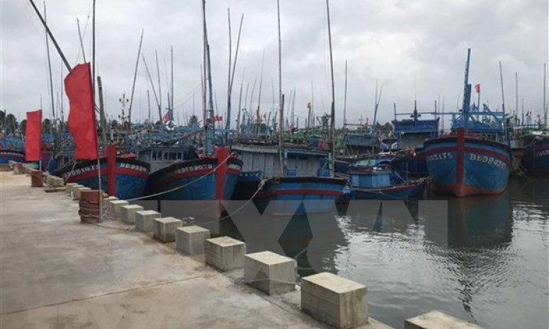 Vietnam to have 184 fishing ports by 2050: draft plan