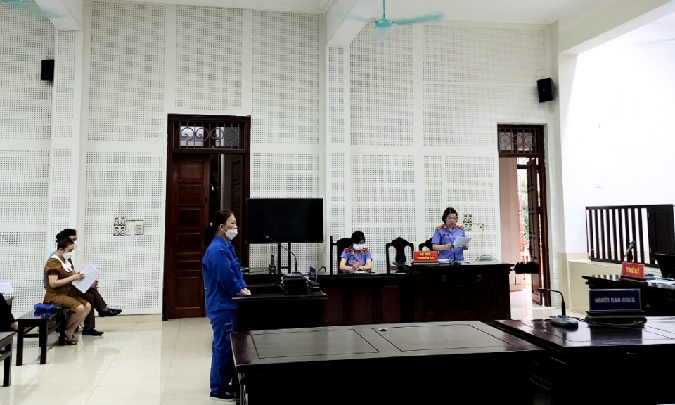 13 năm tù cho kẻ lừa đảo chiếm đoạt tài sản