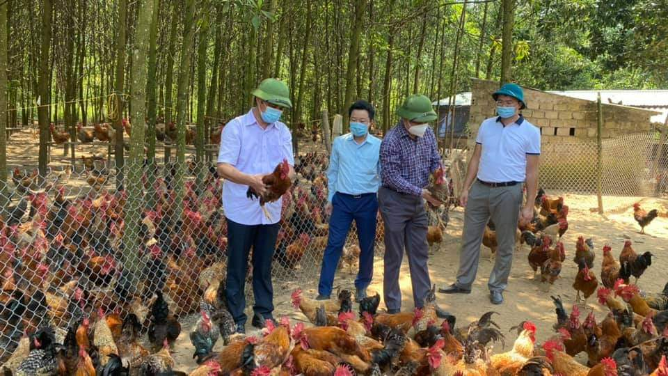Lãnh đạo TP Ha Long, Ban chỉ đạo Xây dựng NTM thành phố thăm mô hình nuôi gà Tiên Yên thương phẩm tại thôn Phù Liễn, xã Đồng Sơn, TP Hạ Long.