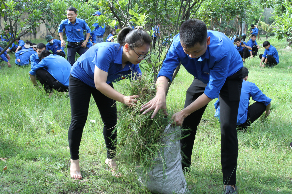  Đoàn viên thanh niên đã ra quân dọn vệ sinh môi trường tại khuôn viên Kho cảng Km6 thuộc Công ty Kho vận và Cảng Cẩm Phả. 