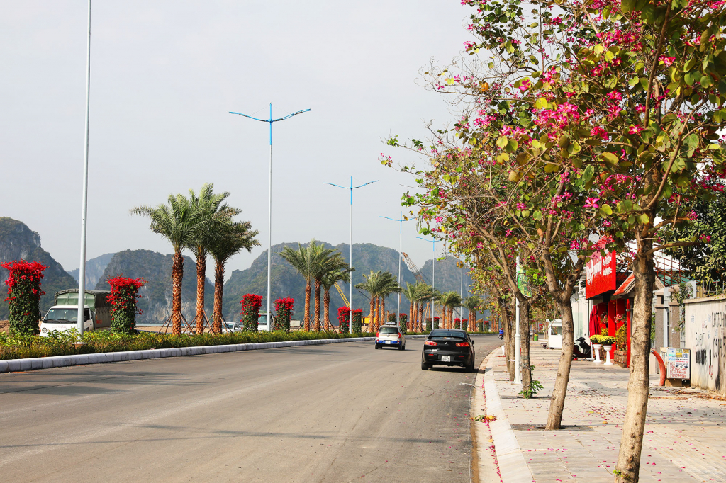 The coastal road of Tran Quoc Nghien