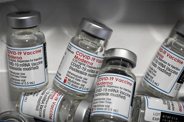 Moderna: Vaccine dac hieu chong bien the Omicron sinh mien dich tot hinh anh 1