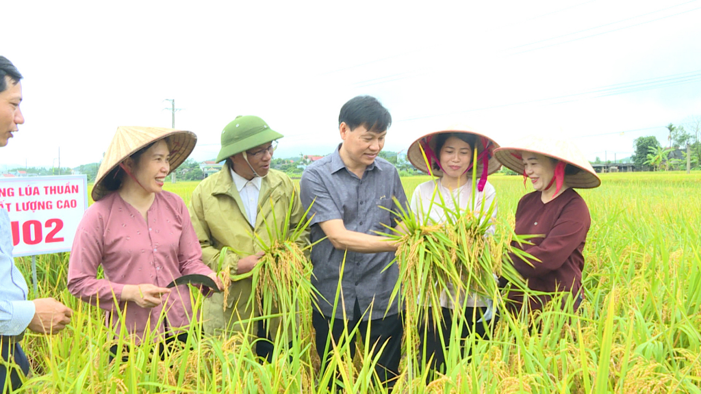 Lãnh đạo Sở NN& PTNT tỉnh Quảng Ninh kiểm tra chất lượng giống lúa J02 cùng nhân dân xã Đường Hoa, huyện Hải Hà.