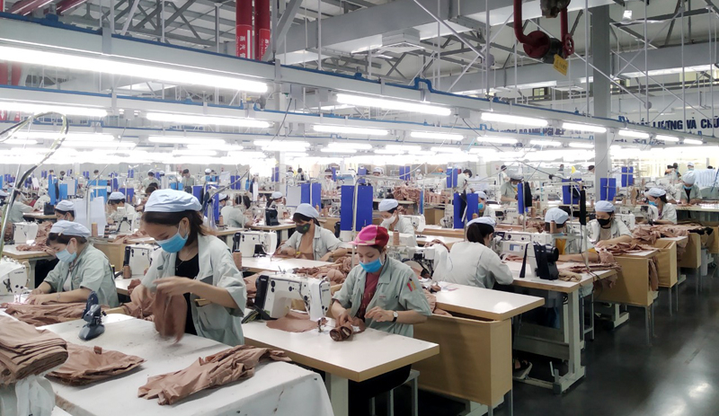 Sản xuất quần áo tại Công ty CP May mặc Hoa Lợi Đạt Việt Nam (KCN Cảng biển Hải Hà)