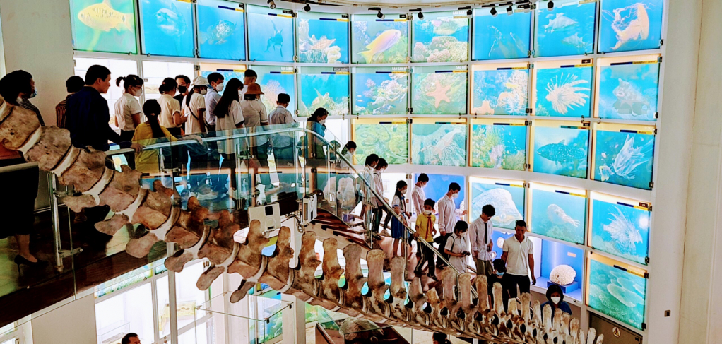 Các cháu được tham quan Bảo tàng Quảng Ninh.