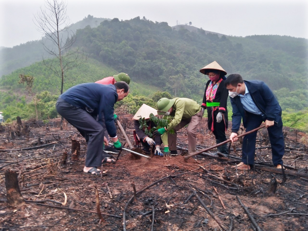 Lãnh đạo MTTQ tỉnh và huyện Ba Chẽ cùng bà con xã Thanh Sơn trồng rừng lim, giổi, lát.