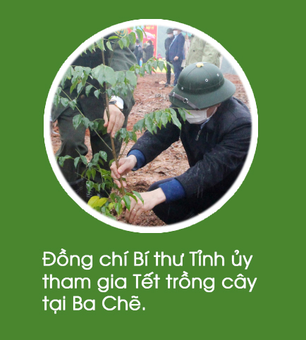 Ảnh căn phải