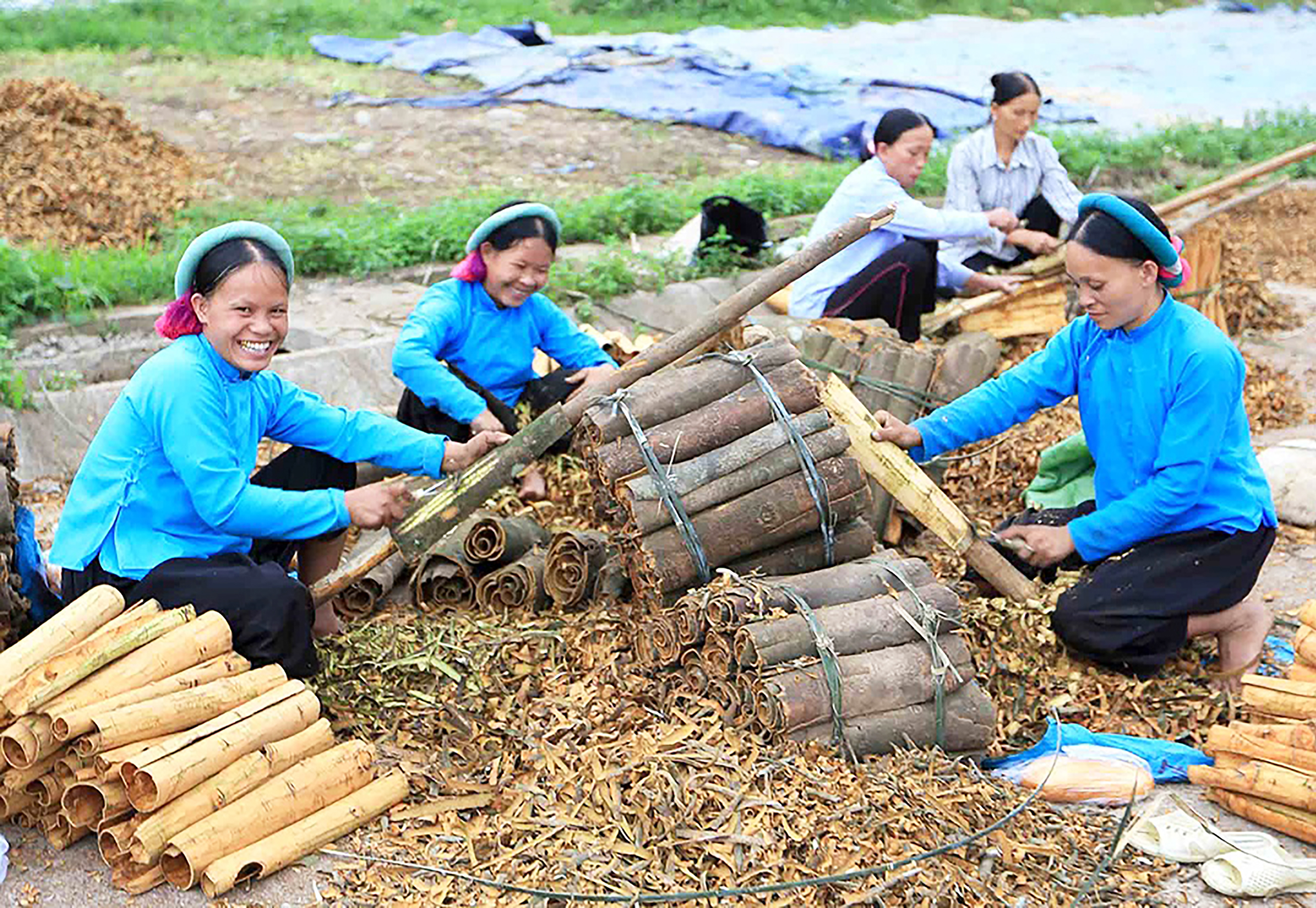 Ảnh trong văn bản