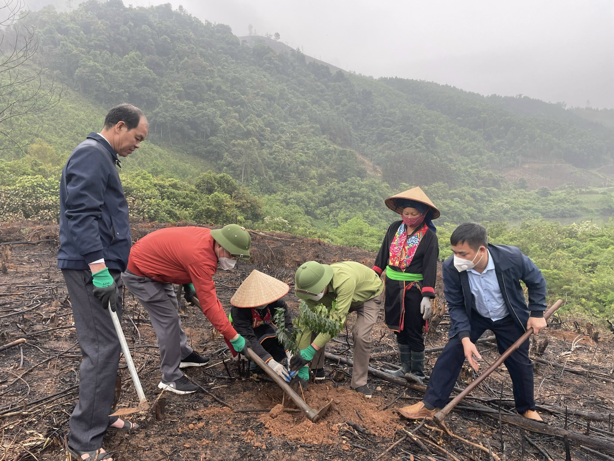 Ảnh trong văn bản