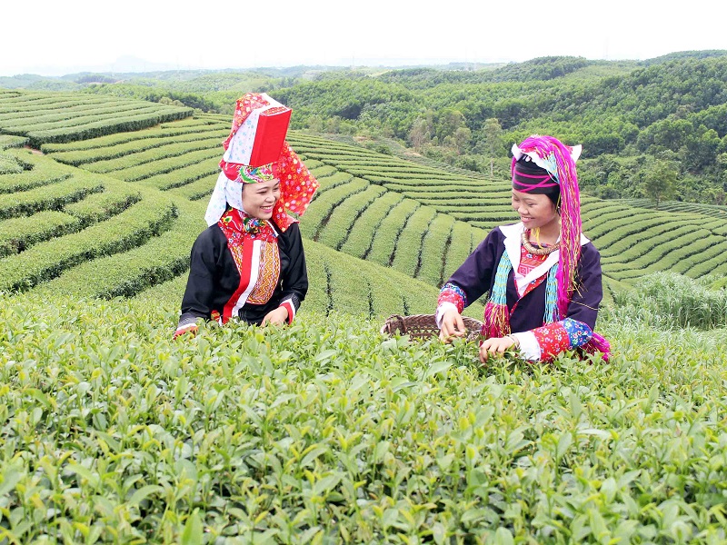 Ảnh trong văn bản