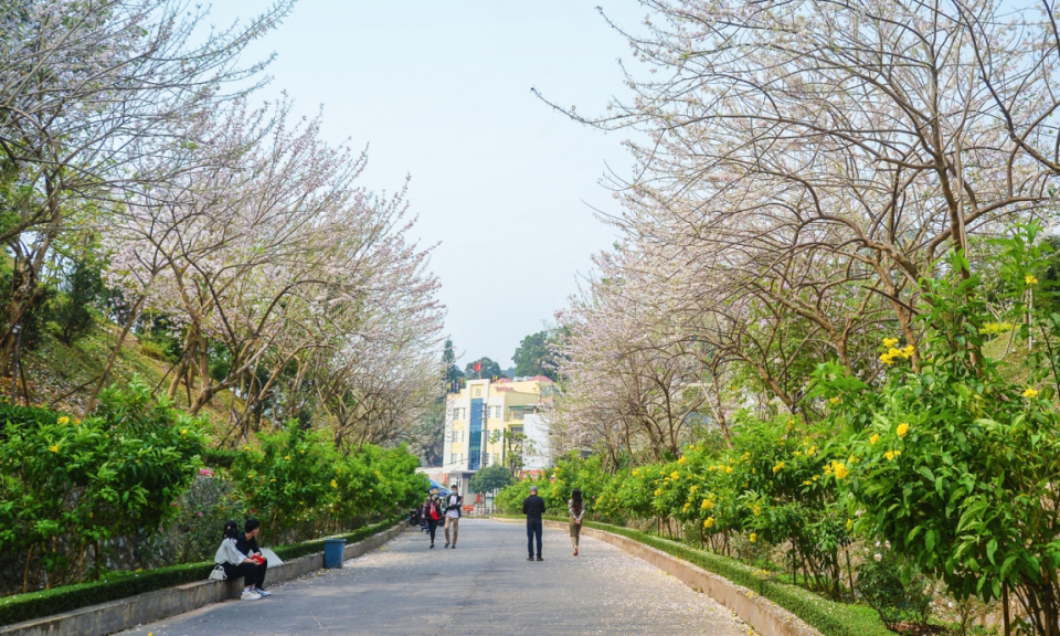 Xanh hoá các khu du lịch