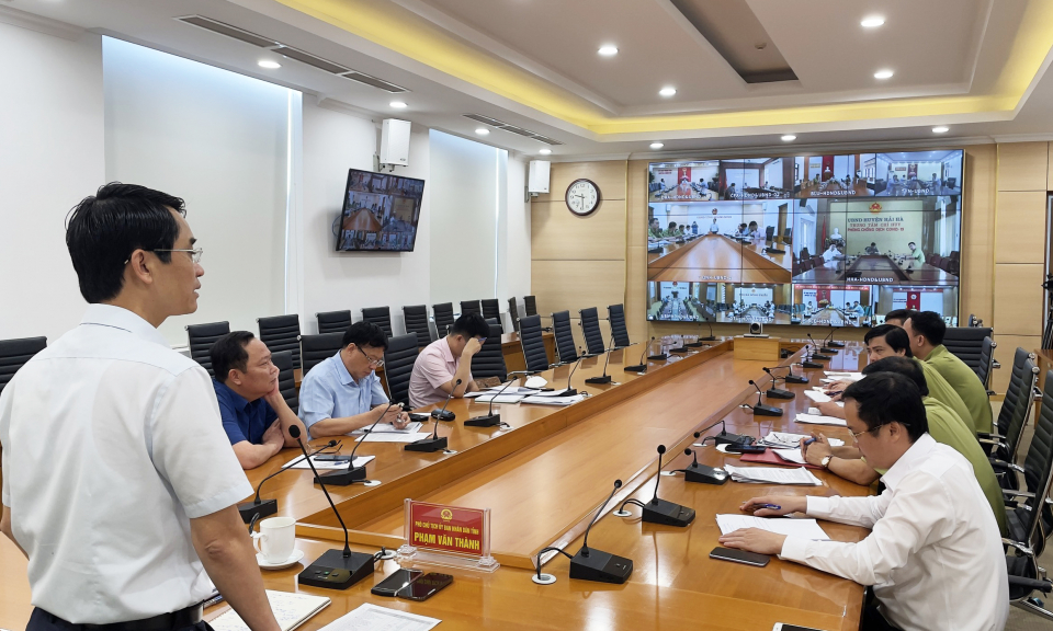 UBND tỉnh đánh giá tiến độ trồng rừng lim, giổi, lát