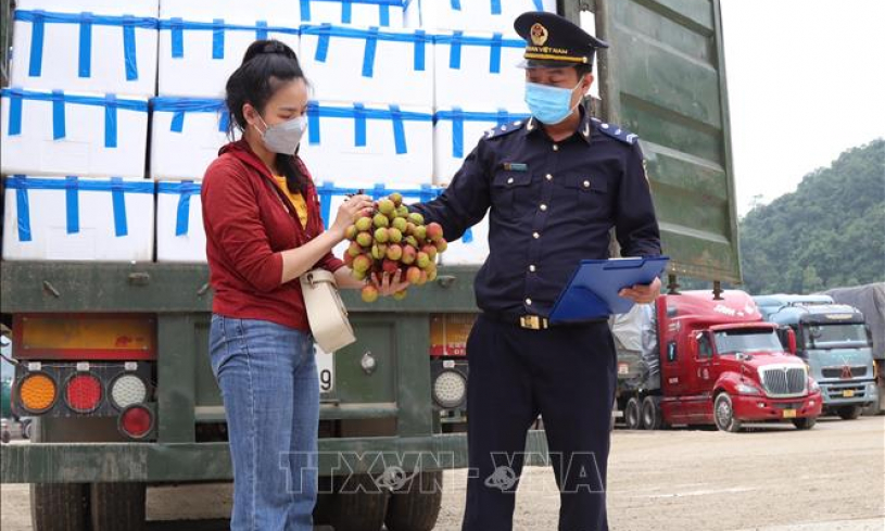 Bản tin vùng Đông Bắc ngày 04/6/2022