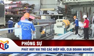 Phát huy vai trò các hiệp hội, CLB doanh nghiệp