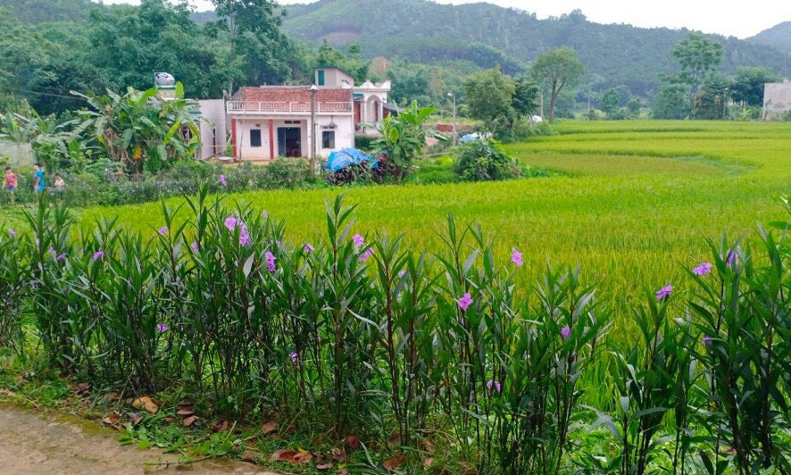 Cải thiện môi trường sống từ “5 không, 3 sạch”