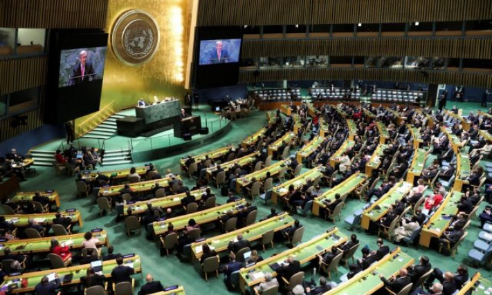 Việt Nam to help promote consensus as UN General Assembly Vice President: official