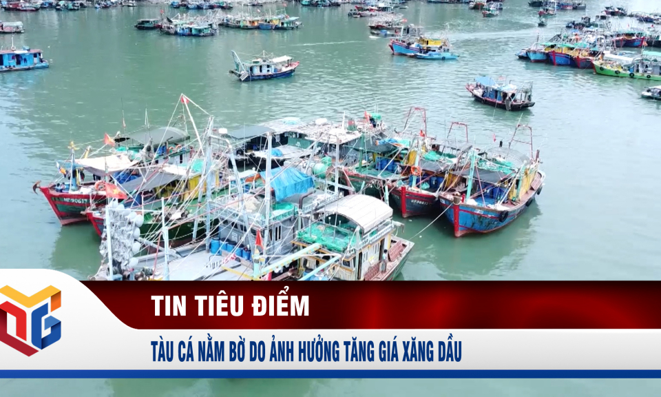 Tàu cá nằm bờ do ảnh hưởng tăng giá xăng dầu