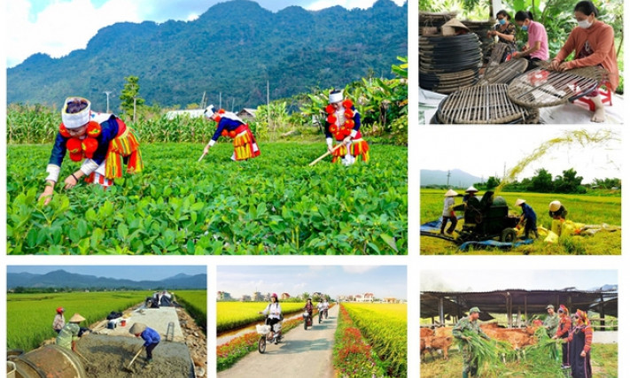 Thủ tướng Chính phủ đôn đốc triển khai quyết liệt các chương trình mục tiêu quốc gia