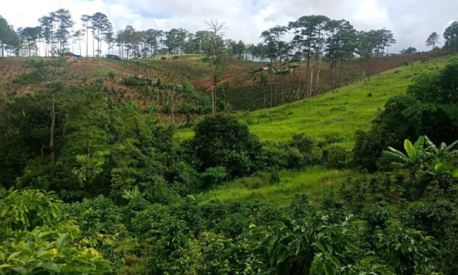 Bỏ nghề lao vào cơn sốt đất, giờ thất nghiệp đi chạy xe ôm