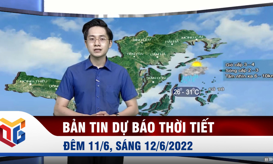 Dự báo thời tiết đêm 11, ngày 12/6/2022