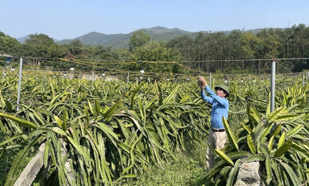 Gia hạn tiền thuê đất năm 2022 