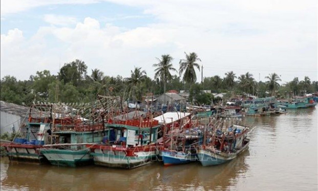 Quang Ninh makes progress to remove EC fishing "yellow card"