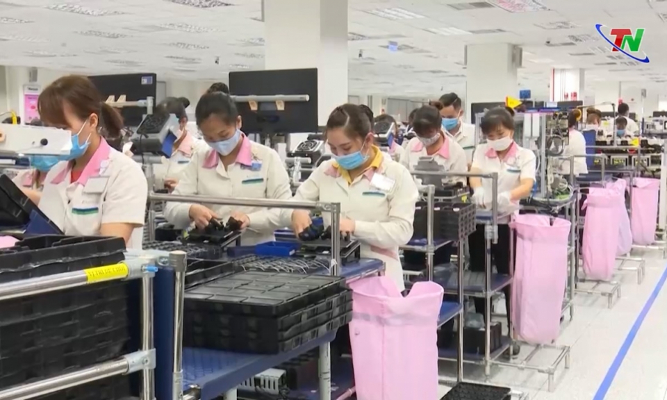Bản tin vùng Đông Bắc ngày 15/6/2022