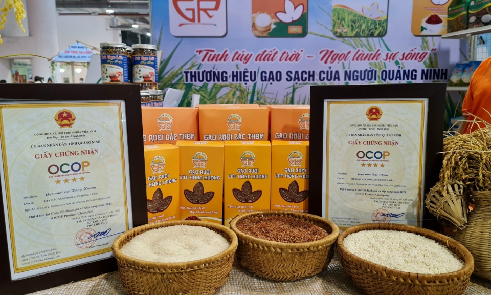 Gạo sạch ruộng rươi Đông Triều