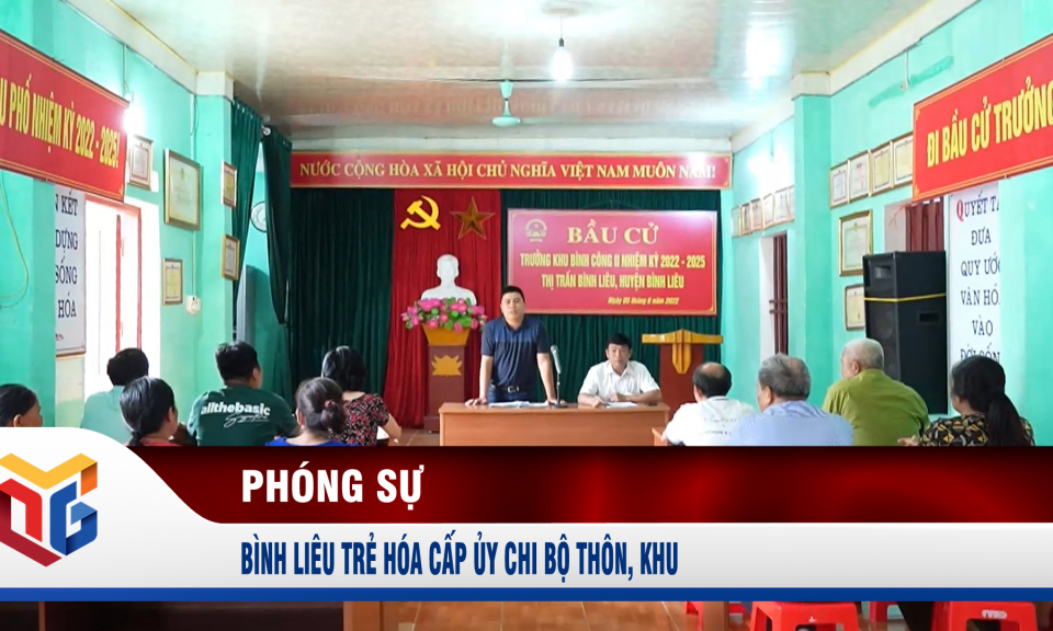 Bình Liêu trẻ hóa cấp ủy chi bộ thôn, khu