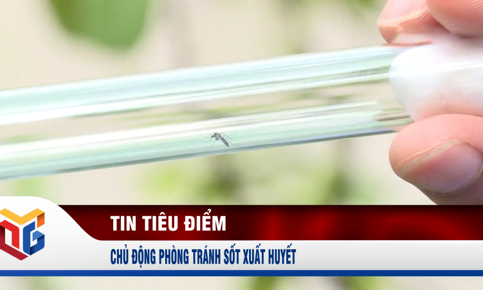 Chủ động phòng tránh sốt xuất huyết 