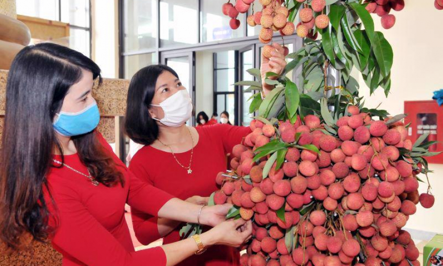 Bản tin vùng Đông Bắc ngày 17/6/2022