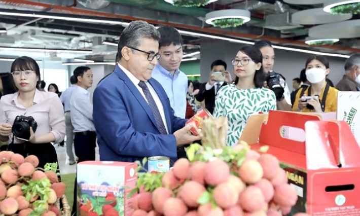 Vietnamese lychees aim to go global
