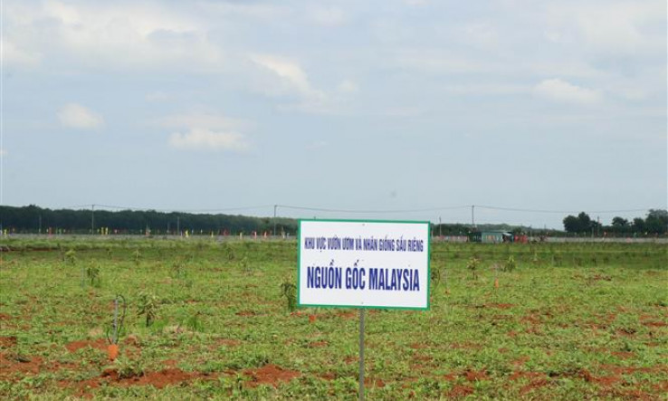 Đẩy mạnh ứng dụng công nghệ cao vào sản xuất nông nghiệp