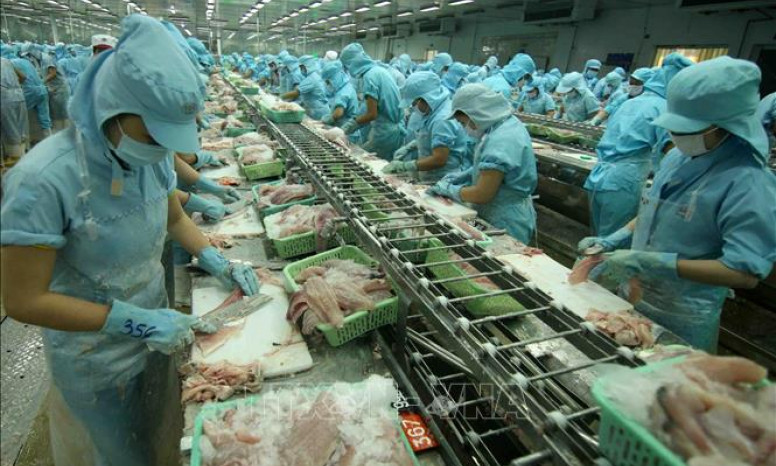 Doanh nghiệp thủy sản 'đón sóng' tăng trưởng lớn