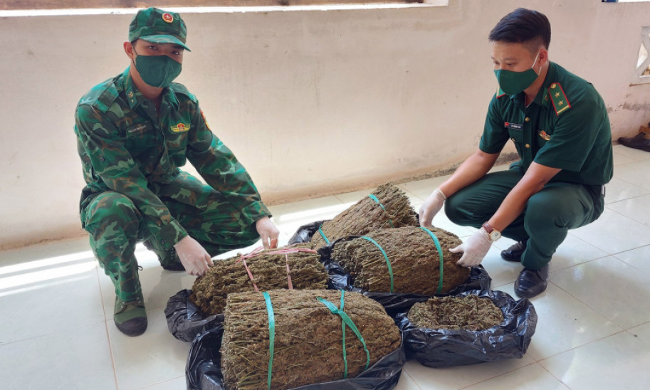 Bắt giữ trên 18kg cần sa qua biên giới An Giang