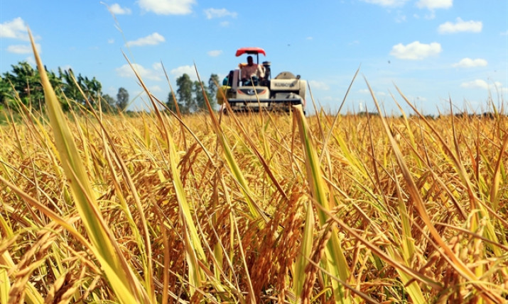 PM issues action plan on Mekong Delta development