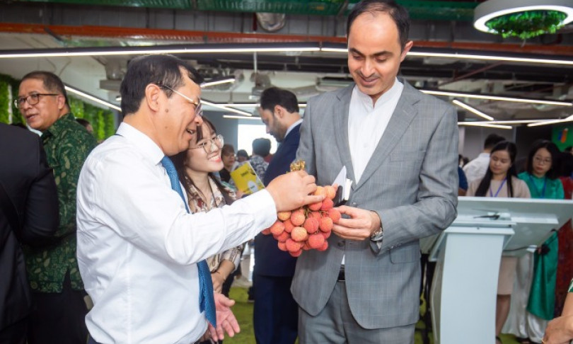 Vietnamese lychees aim to expand global footprint