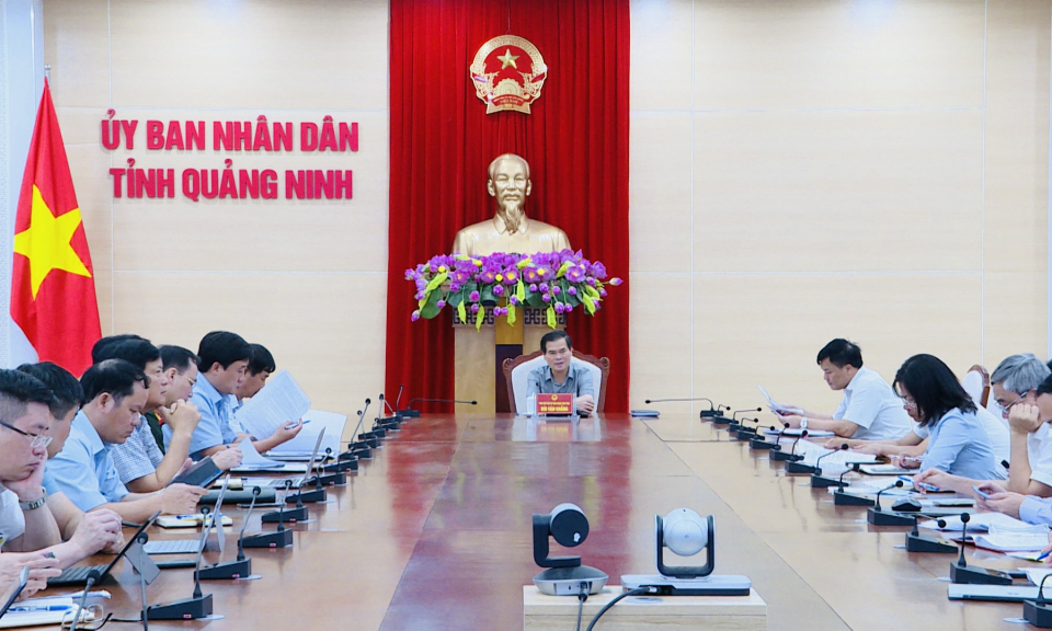 UBND tỉnh họp đánh giá dự toán thu nộp NSNN của các đơn vị ngành Than