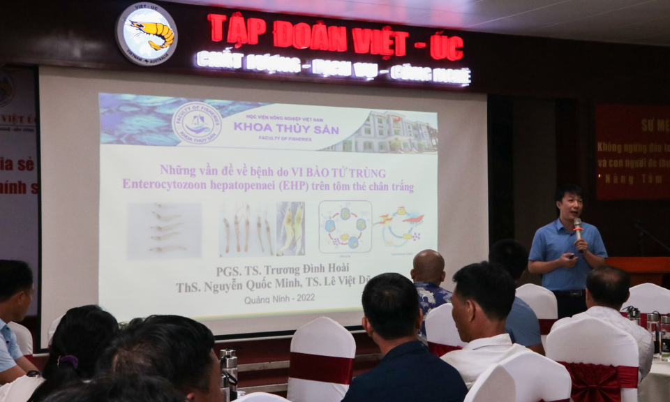 Huyện Đầm Hà: Hội thảo chia sẻ kỹ thuật mới trong nuôi tôm thẻ chân trắng