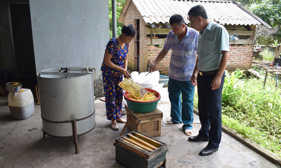 Triệu phú từ nuôi ong 