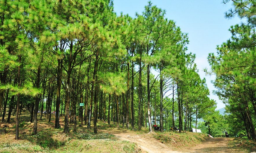 Yen Trung lake - a romantic “Da Lat” in Quang Ninh