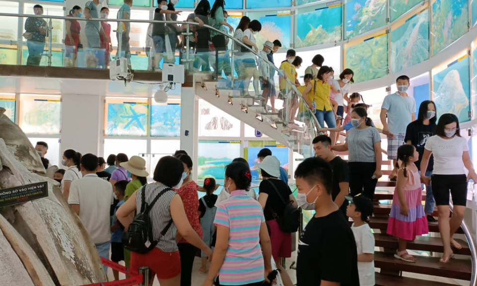 Bản tin vùng Đông Bắc ngày 28/6/2022