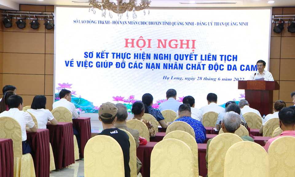 Sơ kết thực hiện Nghị quyết liên tịch giúp đỡ nạn nhân chất độc da cam