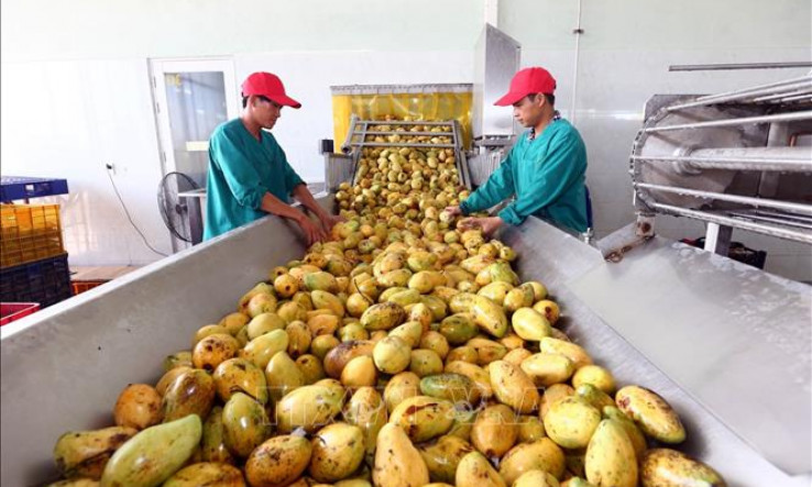 Xuất khẩu nông, lâm, thủy sản năm 2022 kỳ vọng sẽ vượt xa mục tiêu