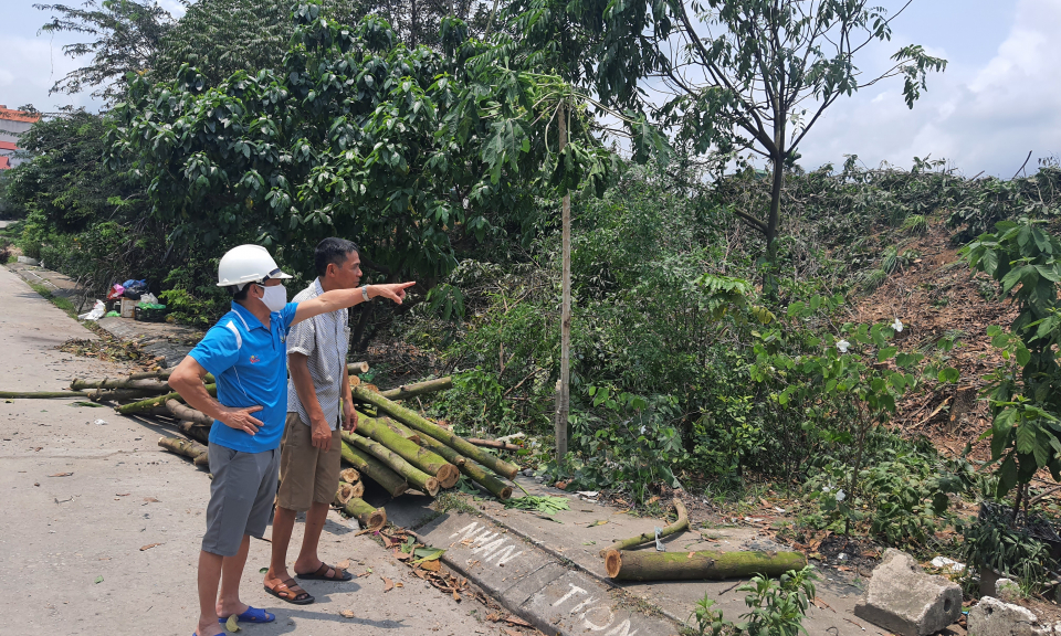 Hạt nhân phát triển của khu 9, phường Quang Trung, Uông Bí