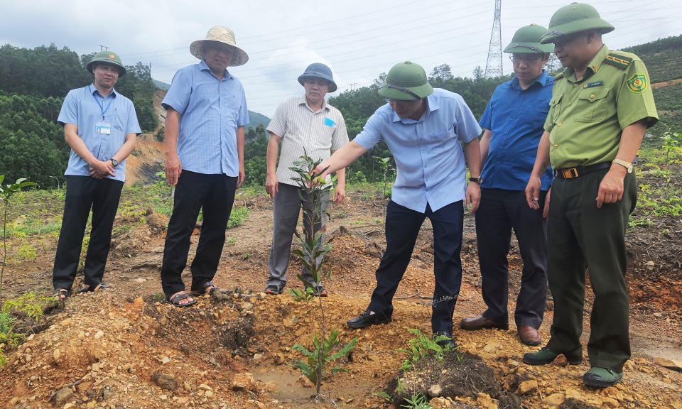 Uông Bí: Những chuyển động tích cực