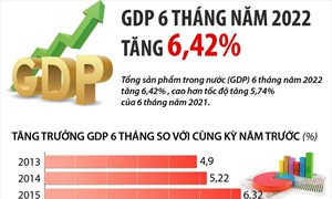 GDP 6 tháng năm 2022 tăng 6,42%